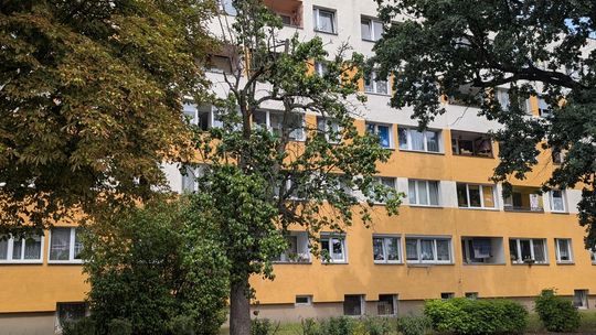 Był ogród...