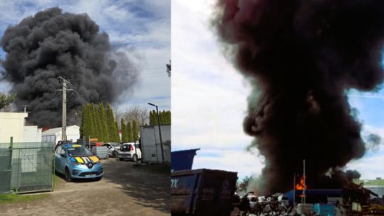 Co wiemy na temat przyczyn tego pożaru?