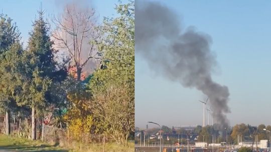 Oława. Pożar na działkach (FILMIKI)