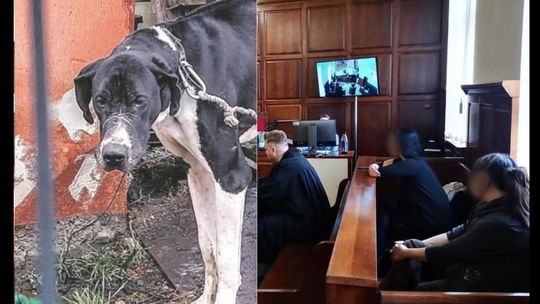 Jest apelacja. Obrońca Karoliny P. wnosi o jej uniewinnienie
