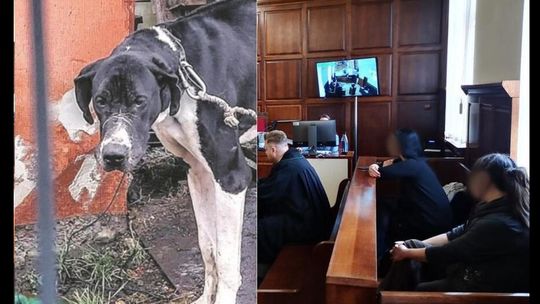 Jest wyrok - Karolina P. skazana