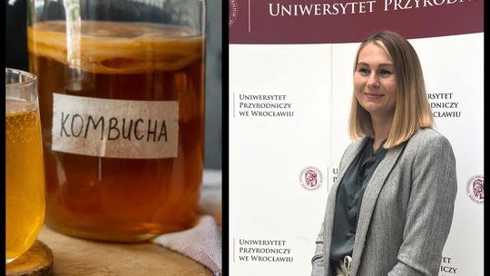 Kombucha jest „zdrowsza” niż myślano