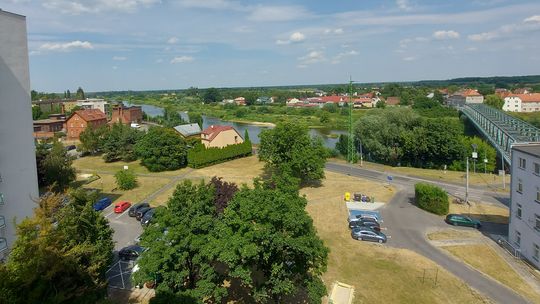 LIST: - Klepiska zamiast trawników!