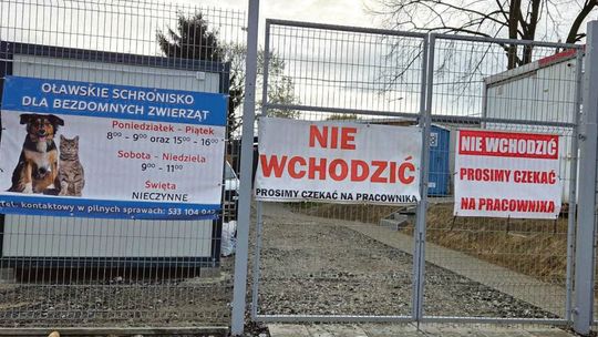 Miesięczny koszt utrzymania jednego zwierzęcia w oławskim schronisku to... 6 tys. zł?