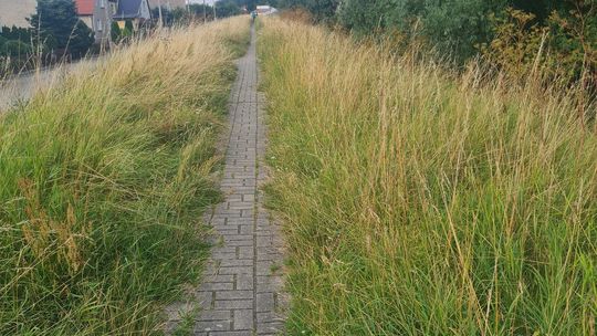 MINUS za tę ścieżkę rowerową