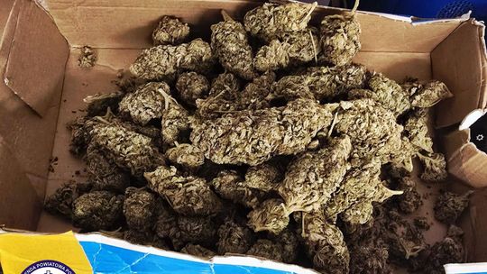 Oława. 19-latek zatrzymany. W piwnicy chował narkotyki