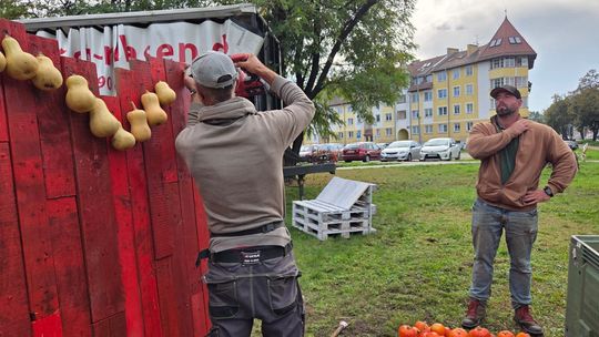 OŁAWA Kawałek dyniowej wioski w... mieście