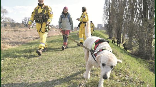 OŁAWA Szukać zaginionych trzeba umieć