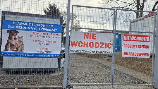 Oławskie schronisko przyjmie zwierzęta z kolejnej gminy