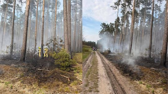 Płonął las. Kolejne pożary są możliwe. Uważajcie na siebie!