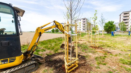 Powstaje "park" na osiedlu Sobieskiego. Co z dalszą częścią terenu? - pyta radny
