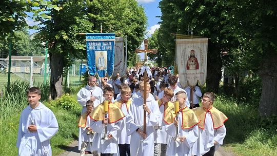 Procesja z Oławy do Gaju Oławskiego (GALERIA)