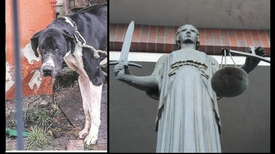 Prokuratura zajmie się hejtem na sędzię, która wydała wyrok w sprawie Karoliny P.