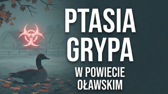 Ptasia grypa w powiecie oławskim. Wojewoda wyznaczył strefę objętą zakażeniem