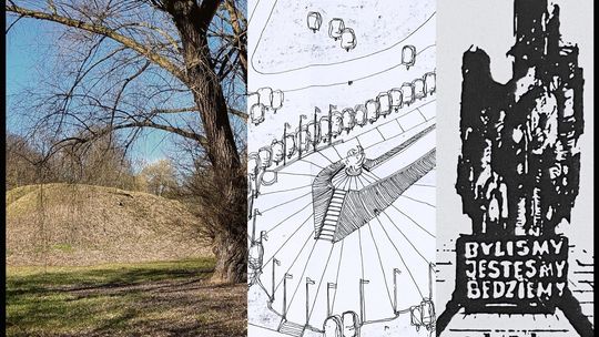 Pterozaur, czyli... orzeł XXL z charakterem