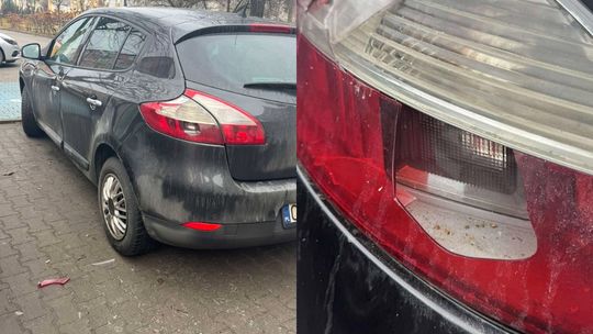 Seryjny wandal w Jelczu-Laskowicach. W nocy zniszczył kilka samochodów...