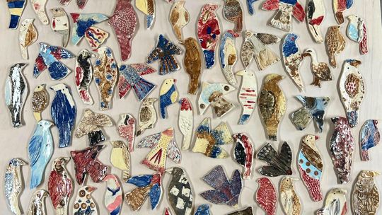 Stwórzmy ptaki - chrońmy lasek