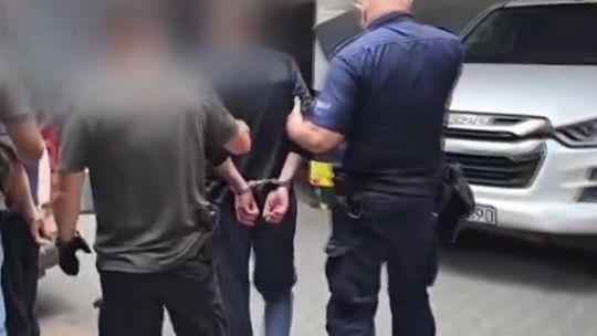 Szajka włamywaczy z Gruzji rozbita