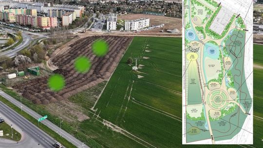 Tak będzie wyglądał park przy ulicy Zacisznej