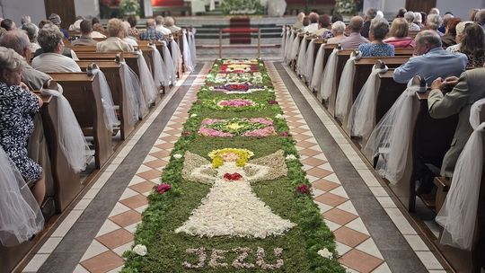 Ten dywan z kwiatów jest niesamowity