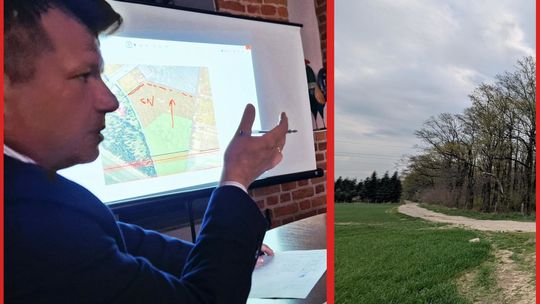 Urząd z dumą ogłasza, że "lasek zostaje"! To coś mu groziło?