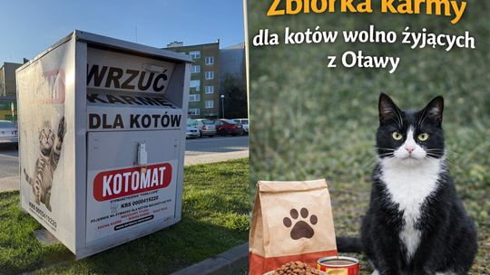 W Oławie żyje ok.100 bezdomnych kotów. Oni to policzyli i proszą o karmę