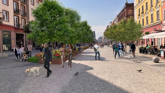 Więcej zieleni w Rynku. Rozpoczęły się prace