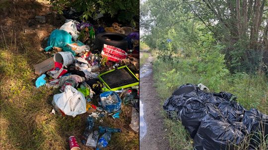 Znaleźli sprawcę. Udana akcja strażników. Śmieci pozbierane