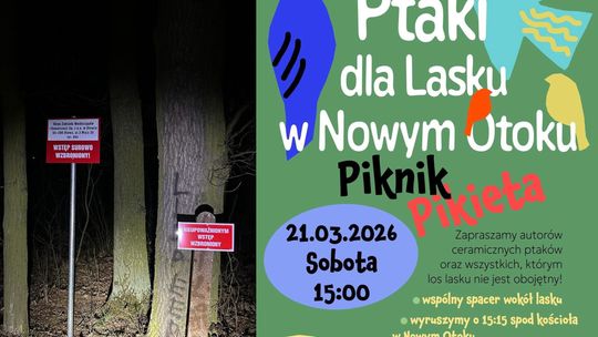 ZWiK stawia tabliczki na obrzeżach słynnego "lasku"