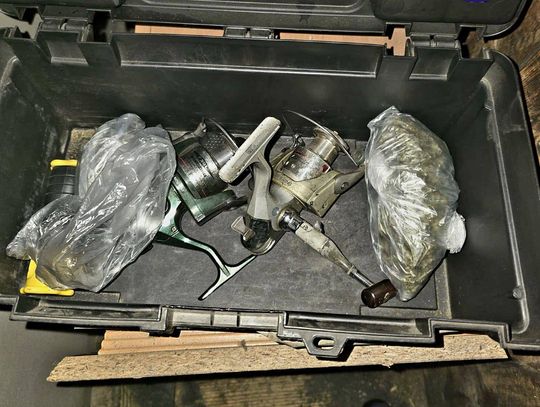 1335 porcji marihuany nie trafi na rynek 1335 porcji marihuany nie trafi na rynek