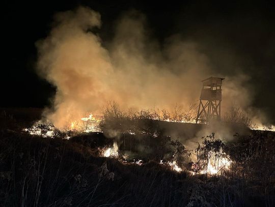 291 pożarów traw w 4 dni! To już się dzieje