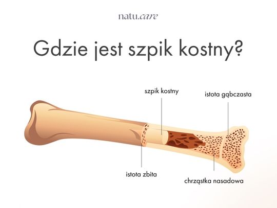 Dzień Dawcy Szpiku. Dlaczego chorzy potrzebują również Ciebie?