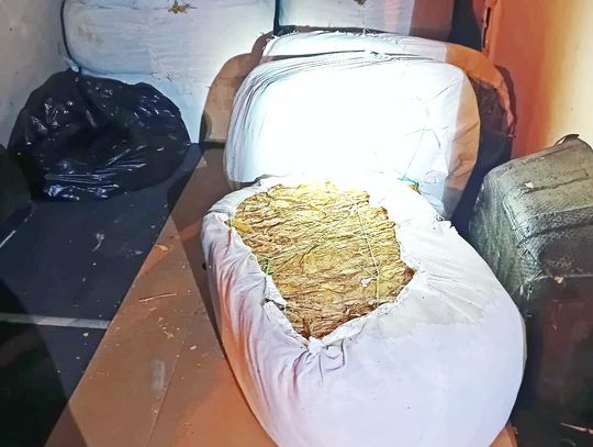 590 kg suszu tytoniowego bez polskich znaków akcyzy na autostradzie A4