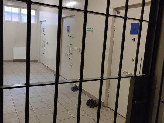 6 osób zatrzymanych podczas wczorajszej akcji