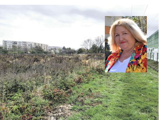 Agnieszka Mikołajek: - Budżet Obywatelski. Jednak chyba fikcja