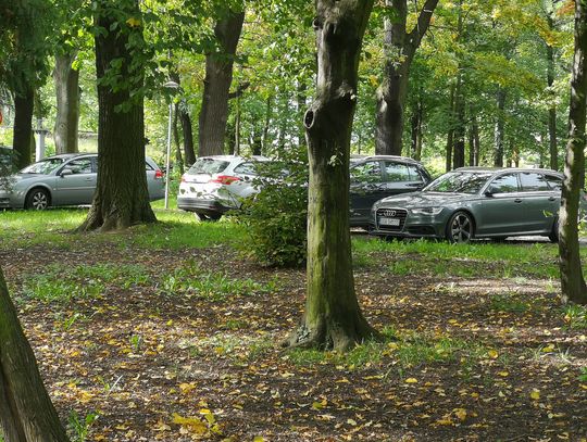 Aktywne Oławianki reagują w sprawie parkowania w... parku