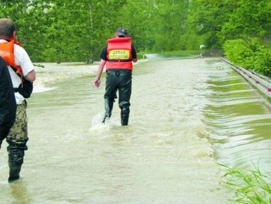 Bezpieczni dopiero za dwa lata