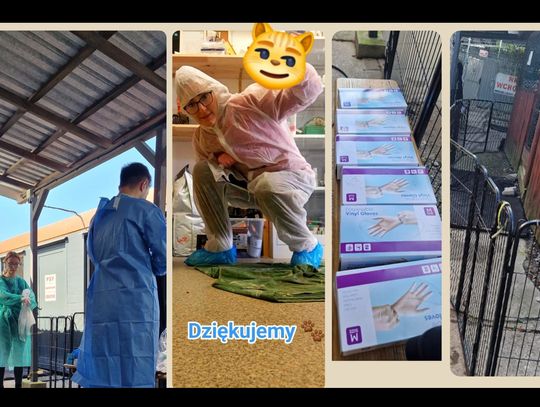 "Bezsilność złamała nam serca. Zrobiliśmy wszystko, co było w naszej mocy"