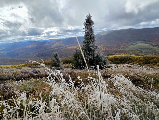 Bieszczadzkie połoniny jesienią - to trzeba zobaczyć! (GALERIA)