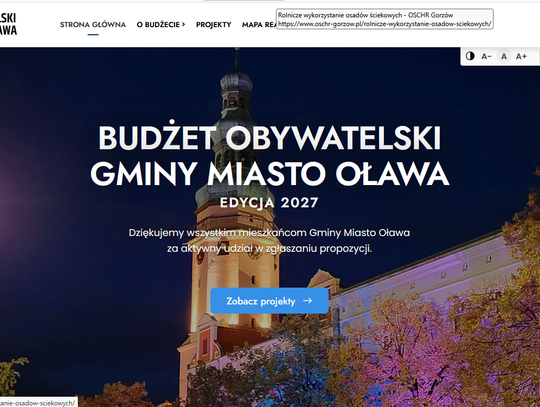 Budżet obywatelski w Oławie. Wstępna lista już jest, ostateczna będzie wkrótce