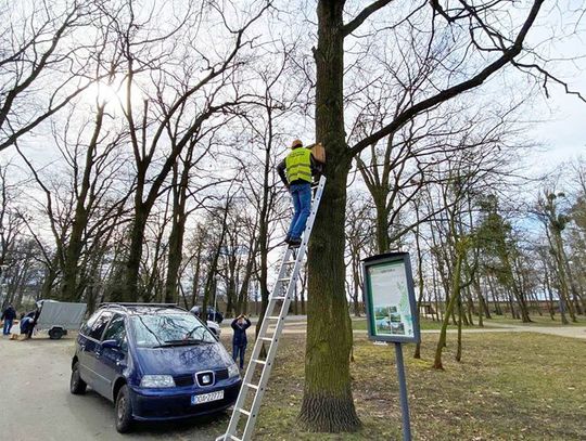 Budki lęgowe od seniorów