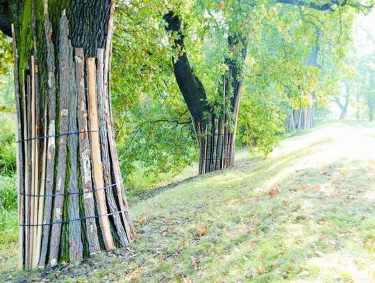 Budują wały chroniące Jelcz i Łęg