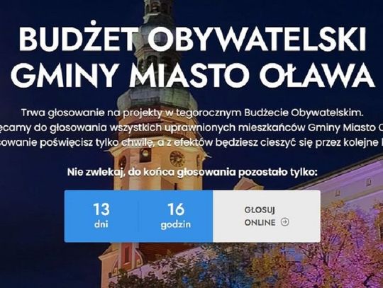 Budżet obywatelski. Od dziś można już głosować