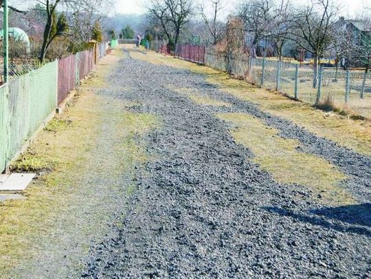 Była prezes ogrodu działkowego skazana