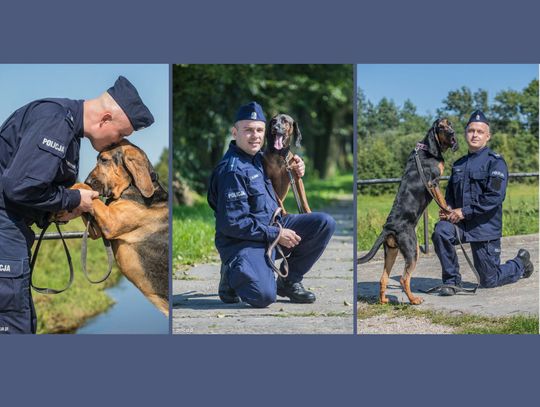 Bywa, że są niezastąpione! Jest ich aż 900