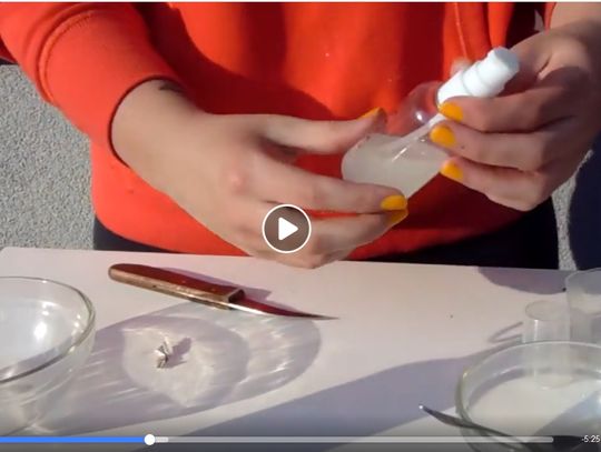 Centrum Sztuki pokazuje jak zrobić żel antybakteryjny i mydełko
