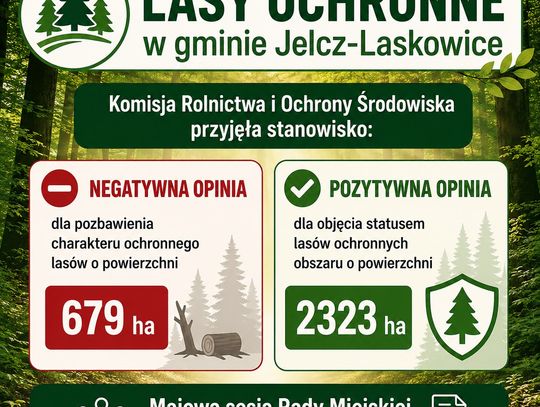 Chcą chronić lasy, a nie rezygnować z ich ochrony Chcą chronić lasy, a nie rezygnować z ich ochrony