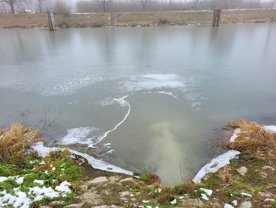 Chciał zawieszenia potępowania w sprawie Jack-Polu. Jest odpowiedź burmistrza Chciał zawieszenia potępowania w sprawie Jack-Polu. Jest odpowiedź burmistrza