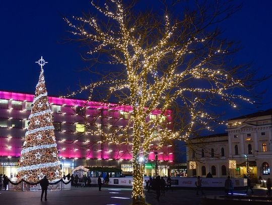 Choinka gigant – co to takiego?