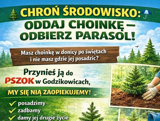 Chroń środowisko – oddaj choinkę, odbierz parasol!